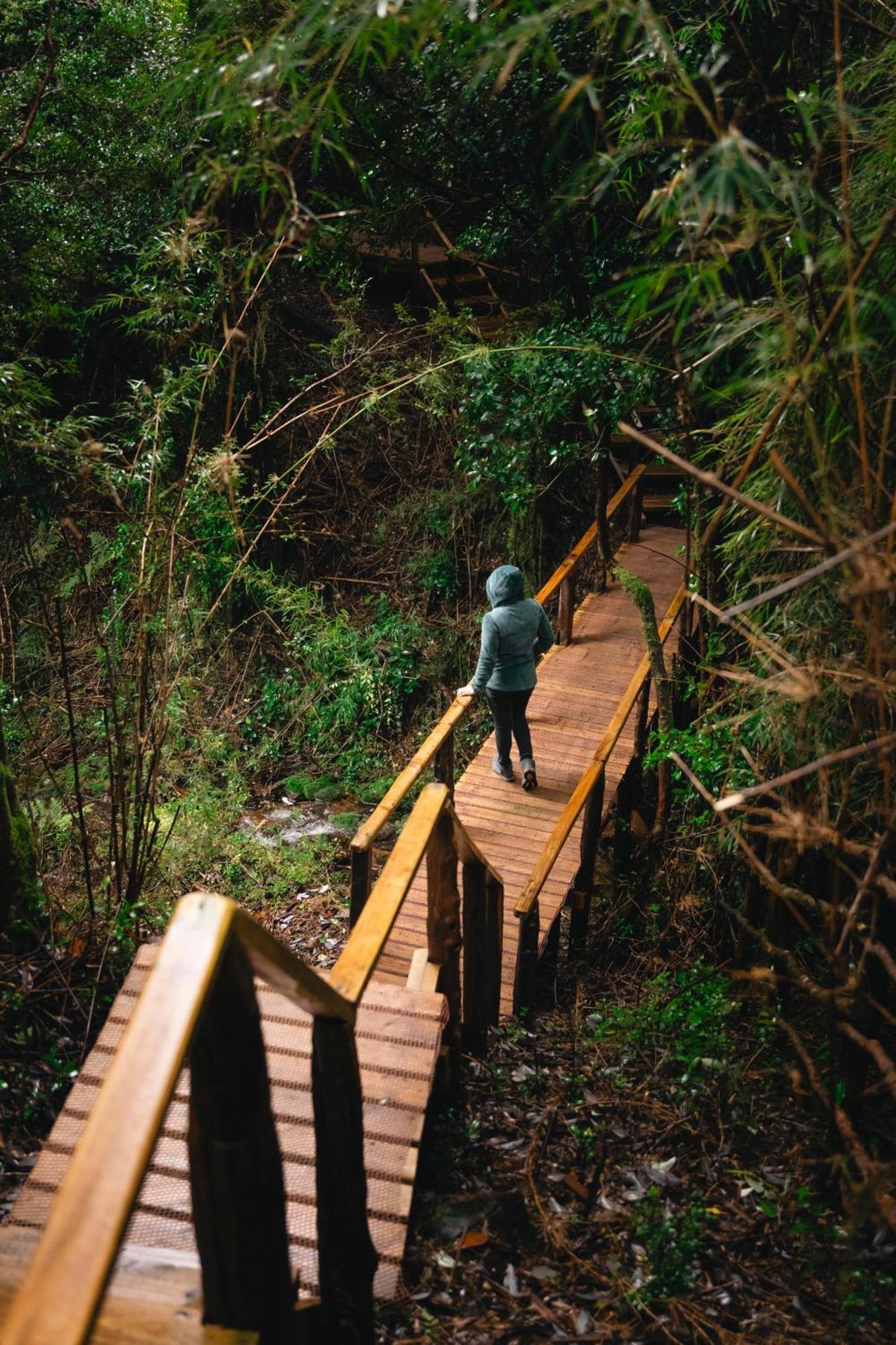 Puente Palos San Pedro カストロ エクステリア 写真